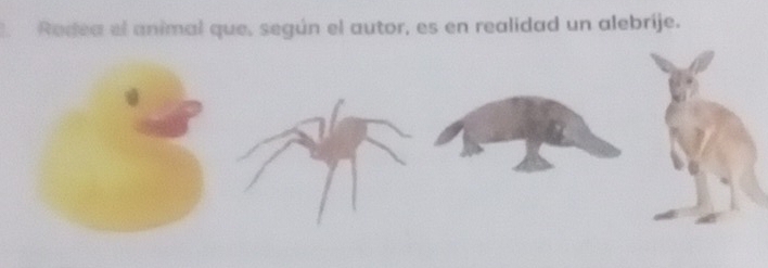 Redea el animal que, según el autor, es en realidad un alebrije.