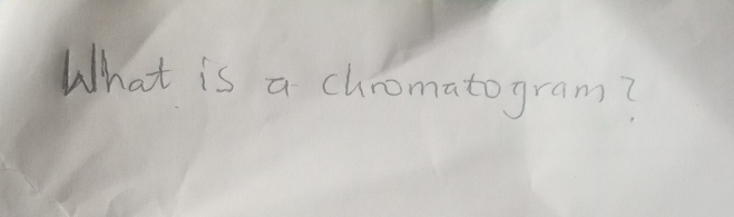 What is a chromatogram?