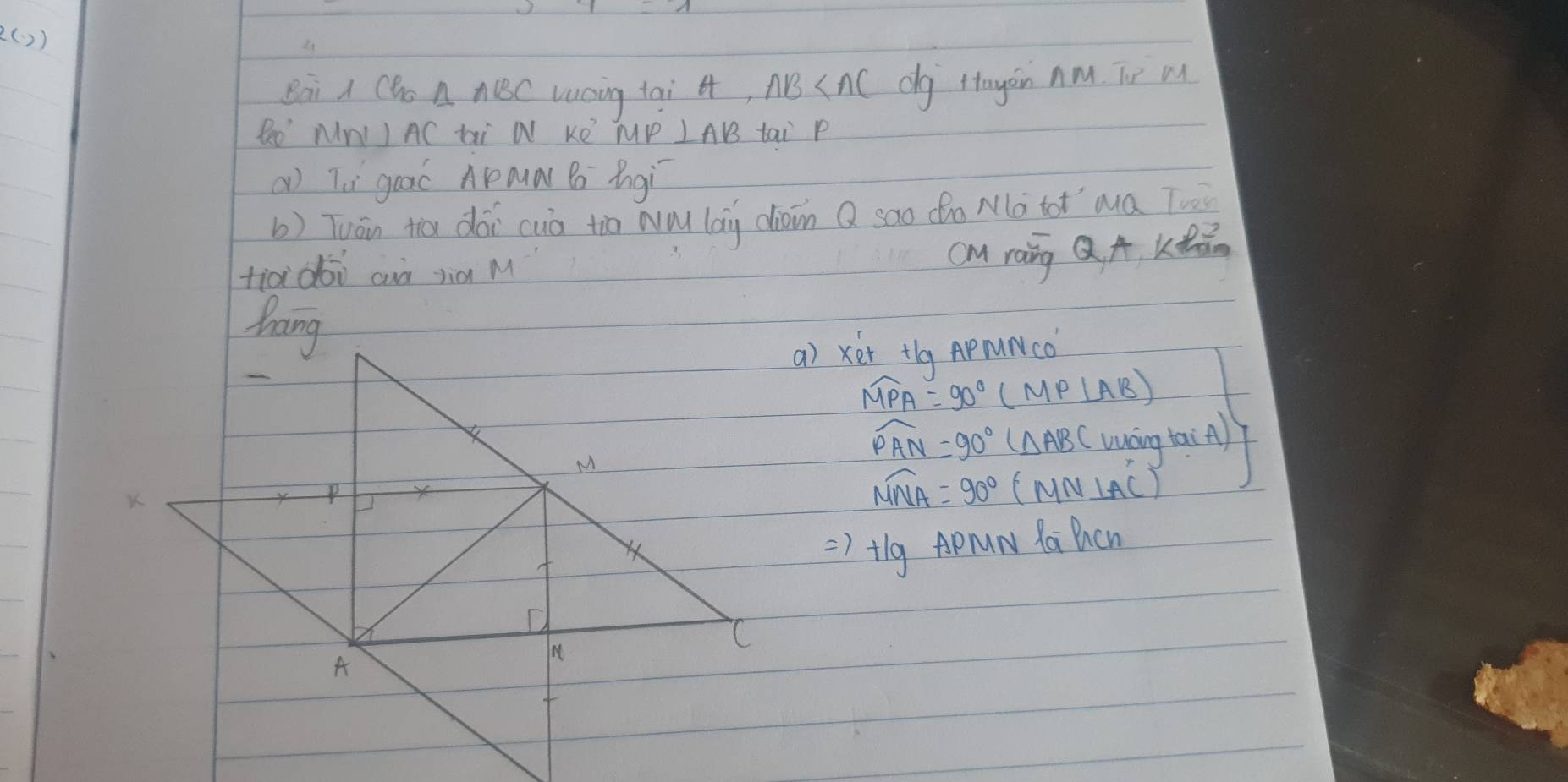 ( )) 
Bai A Cho △ ABC Lucing tai 4, AB dg ttayin Am. Te M 
Reo' MnI I AC ti N KO MP LAB tai P
( Tù guac Amà B bngì 
b) Tuán tiā dài cuò tio w lang doin Q sao n Mà tot`ma Tu 
fià doò auà jià M 
cM rang QA. Kǒá. 
a) xet tg APµNCo
widehat MPA=90°(MP⊥ AB)
widehat PAN=90°(△ ABC) vuáng tai A)
widehat MNA=90°(MN⊥ AC)
=)+lg APrN YaBhcn