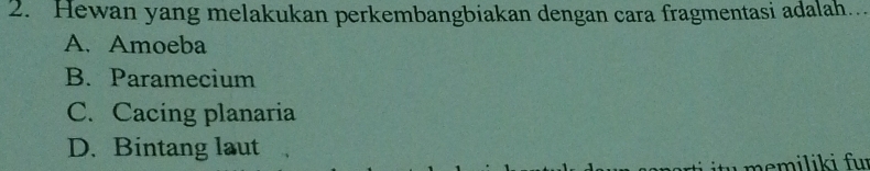 Hewan yang melakukan perkembangbiakan dengan cara fragmentasi adalah..
A. Amoeba
B. Paramecium
C. Cacing planaria
D. Bintang laut
iiki für