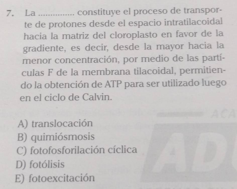 La _constituye el proceso de transpor-
te de protones desde el espacio intratilacoidal
hacia la matriz del cloroplasto en favor de la
gradiente, es decir, desde la mayor hacia la
menor concentración, por medio de las partí-
culas F de la membrana tilacoidal, permitien-
do la obtención de ATP para ser utilizado luego
en el ciclo de Calvin.
A) translocación
B) quimiósmosis
C) fotofosforilación cíclica
D) fotólisis
E) fotoexcitación