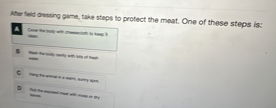 After field dressing game, take steps to protect the meat. One of these steps is:
A Coven tte body with cheasedoth to keep it
dean
B Wash the body caurty with lots of frash
wate
C Pang the animal in a warm, sunny spot.
D Sub the exposed meat with mass or dry
leaves