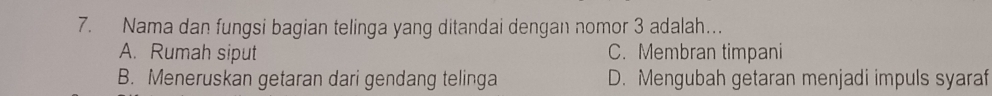 Nama dan fungsi bagian telinga yang ditandai dengan nomor 3 adalah…
A. Rumah siput C. Membran timpani
B. Meneruskan getaran dari gendang telinga D. Mengubah getaran menjadi impuls syaraf