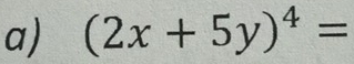 (2x+5y)^4=