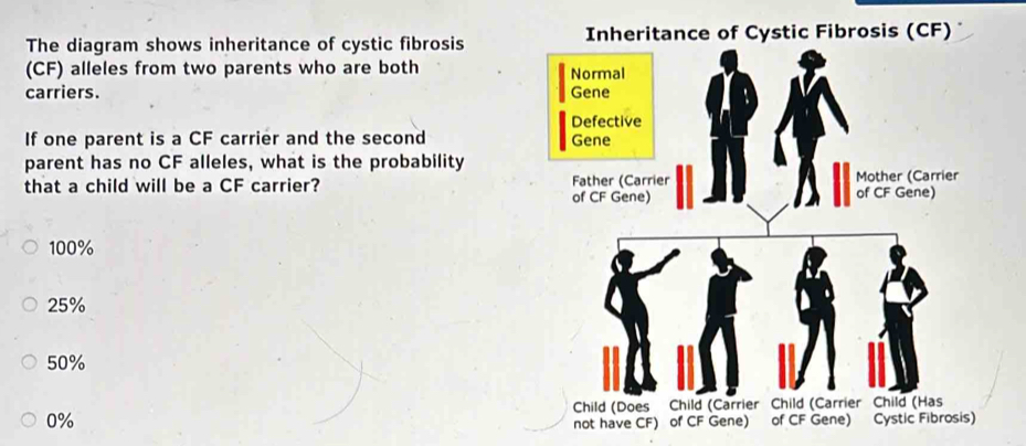 Solved: The diagram shows inheritance of cystic fibrosis Inheritance of ...