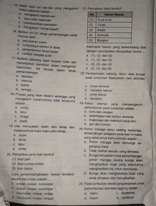 Salah satu ciri laki-laki yang mengalami 21. Perhatikan tabel berikut!
masa pubertas adalah ....
a. mengalami menstruasi
b. daya pikir melemah
c. membutuhkan perhatian
d. mengalami ''mimpi basah'' 
16. Berikut ciri-ciri tahap perkembangan pada
manula ialah ....
a. perubahan suara
b. tumbuhnya rambut di dada Kelompok hewan yang berkembang biak
c. pertambahan berat badan dengan cara bertelur ditunjukkan nomor ....
d. rambut menjadi putih
a. (1), (2), dan (3)
b. (1), (2), dan (4)
17. Apabila seorang telah berpikir kritis dan
c. (2), (3), dan (4)
menetapkan pendirian dalam mengambil
d. (2), (3), dan (5)
keputusan, dia berada dalam tahap 22. Pembentukan cabang, daun, atau bunga
perkembangan ....
a. dewasa
pada tumbuhan disebabkan oleh aktivitas
b. manula
c. balita a. tunas terminal
d. remaja b. meristem lateral
18. Proses yang tidak dialami serangga yang d. meristem c. tunas lateral
mengalami metamorfosis tidak sempurna
adalah .... 23. Faktor internal yang mempengaruhi
pertumbuhan pada tumbuhan adalah ....
a. nimfa a. suhu dan oksigen
b. telur b. kelembapan dan karbon dioksida
c. imago c. lingkungan dan makhluk hidup lain
d. pupa d. gen dan hormon
19. Ulat merupakan salah satu tahap dari 24. Pohon mangga kamu sedang berbunga,
metamorfosis kupu-kupu yaitu tahap .... terkait dengan pelajaran pada bab ini maka
a. pupa yang seharusnya kamu pikirkan adalah ...
b. larva a. Pohon mangga akan berbunga se-
c. telur panjang masa.
d. nimfa b. Tidak melihat sesuatu yang istimewa.
20. Perhatikan jenis ikan berikut! c. Bunga merupakan masa perkembangan
(1) Ikan pari pohon mangga karena bunga akan 
(2) Ikan lumba-lumba menghasilkan buah yang selanjutnya
(3) Ikan badut menghasilkan biji untuk reproduksi.
Cara perkembangbiakan hewan tersebut d. Bunga akan menghasilkan buah yang
secara berurutan adalah .... enak dimakan dan menyehatkan.
a. ovipar, vivipar, ovovivipar 25. Pada tumbuhan dikotil yang berperan untuk
b. ovipar, vivipar, ovovivipar pertumbuhan diameter batang adalah ....
c. ovovivipar, vivipar, ovipar a. xilem c. epidermis
d. ovovivipar, ovipar, vivipar b. floem d. kambium
14