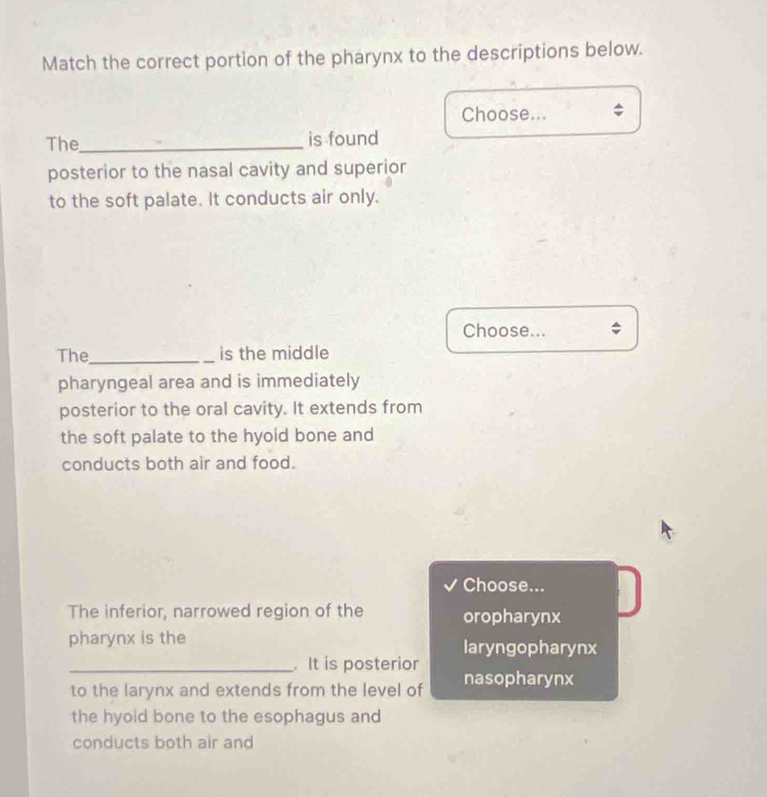 Match the correct portion of the pharynx to the descriptions below.
Choose...
The_ is found
posterior to the nasal cavity and superior
to the soft palate. It conducts air only.
Choose...
The_ is the middle
pharyngeal area and is immediately
posterior to the oral cavity. It extends from
the soft palate to the hyoid bone and
conducts both air and food.
Choose...
The inferior, narrowed region of the oropharynx
pharynx is the laryngopharynx
_. It is posterior
to the larynx and extends from the level of nasopharynx
the hyoid bone to the esophagus and
conducts both air and