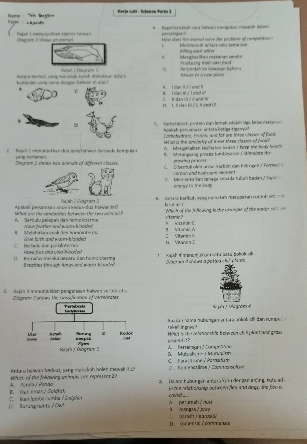 Kerja cuti - Science Form 2
Name Toh YingXin
Form *Randa
4. Bagaimanakah cara haiwan mengatasi masalah dalam
1 Rajah 1 menunjukkan sejenis halwan. persaingan?
Diagram 1 How does the animal solve the problem of competition?
1 Membunuf antara satu sama lain
Killing each other
HL Menghasiikan makanan sendiri
Producing their own food
Rajah / Diogram 1 m Berpindah ke kawasan baharu
Antara berikut, yang manakah boieh diletakkan dalam Moves to a new place
kumpulan yang sama dengan halwan di atas?
A A. I dan Il / I and Il
c
B. I dan III / / and III
C. Il dan III / /l ond III
D. I, !! dan III / l, Il and III
B
D 5. Karbohidrat, protein dan lemak adalah tiga kelas makanan.
Apakah persamaan antara ketiga-tiganya?
Carbohydrate, Protein and fat are three classes of food
What is the similarity of these three classes of food?
2. Rajah 2 menunjukkan dua jenis haïwan daripada kumpulan A. Mengekalkan kesihatan badan / Keep the body hedlth
yang beriainan. B. Merangsang proses tumbesaran / Stimulate the
Diagram 2 shows two animals of different classes. growing process
C. Dibentuk oleh unsur karbon dan hidrogen / Formed by
carbon and hydrogen element
D. Membekalkan tenaga kepada tubuh badan / Supple
energy to the body
Rajah / Diagram 2 6. Antara berikut, yang manakah merupakan contoh vitamin
Apakah persamaan antara kedua-dua haiwan in!? larut air?
What are the similarities between the two animals? Which of the following is the example of the water-solt ble
vitamin?
A. Berbulu pelepah dan homoioterma A. Vitamin C
Have feather and warm-blooded B. Vitamin A
B. Melahirkan anak dan homoioterma
Give birth and warm-blooded C. Vitamin K
C. Berbulu dan poikiloterma D. Vitamin E
Have furs and cold-blooded
D. Bernafas melalui peparu dan homoioterma 7. Rajah 4 menunjukkan satu pasu pokok cili.
Breathes through lungs and warm-blooded Diagram 4 shows a potted chili plants.
3. Rajah 3 menunjukkan pengelasan haiwan vertebrata.
Diagram 3 shows the classification of vertebrates.
Rajah / Diagram 4
Apakah nama hubungan antara pokok cili dan rumput 
sekelilingnya?
What is the relationship between chili plant and grass
around it?
A. Persaingan / Competition
B. Mutualisme / Mutualism
C. Parasitisme / Parasitism
Antara haiwan berikut, yang manakah boleh mewakili Z? D. Komensalime / Commensalism
Which of the following animals can represent Z?
A. Panda / Panda 8. Dalam hubungan antara kutu dengan anjing, kutu ad
B. Ikan emas / Goldfish In the relationship between flea and dogs, the flea is
C. Ikan lumba-lumba / Dolphin
called......
D. Burung hantu / Owl A. perumah / host
B. mangsa / prey
C. parasit / parasite
D. komensal / commensal