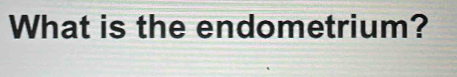 What is the endometrium?