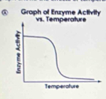 A Graph of Enzyme Activity