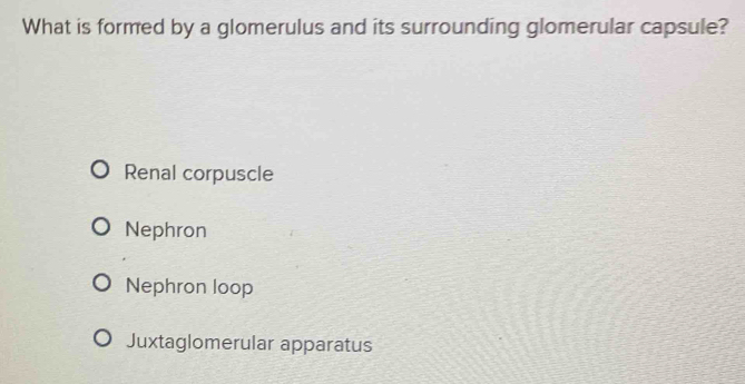 What is formed by a glomerulus and its surrounding glomerular capsule?
Renal corpuscle
Nephron
Nephron loop
Juxtaglomerular apparatus