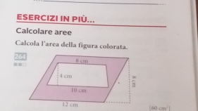 ESERCIZI IN PIÜ... 
Calcolare aree 
Calcola l’area della figura colorata. 
264 
=.
(60cm^2)