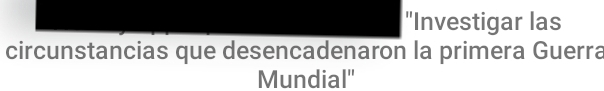 "Investigar las 
circunstancias que desencadenaron la primera Guerra 
Mundial"