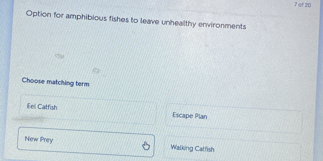 of 20
Option for amphibious fishes to leave unhealthy environments
Choose matching term
Eel Catfish Escape Plan
New Prey Walking Catfish