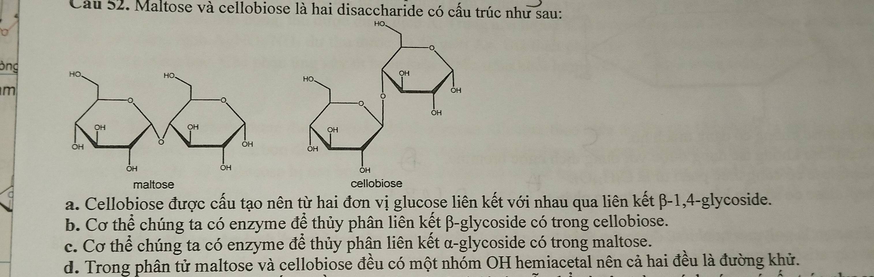 Cau 52. Maltose và cellobiose là hai disaccharide có cấu trúc như sau:
Bng
m
a. Cellobiose được cấu tạo nên từ hai đơn vị glucose liên kết với nhau qua liên kết β-1,4-glycoside.
b. Cơ thể chúng ta có enzyme để thủy phân liên kết β-glycoside có trong cellobiose.
c. Cơ thể chúng ta có enzyme để thủy phận liên kết α-glycoside có trong maltose.
d. Trong phân tử maltose và cellobiose đều có một nhóm OH hemiacetal nên cả hai đều là đường khử.