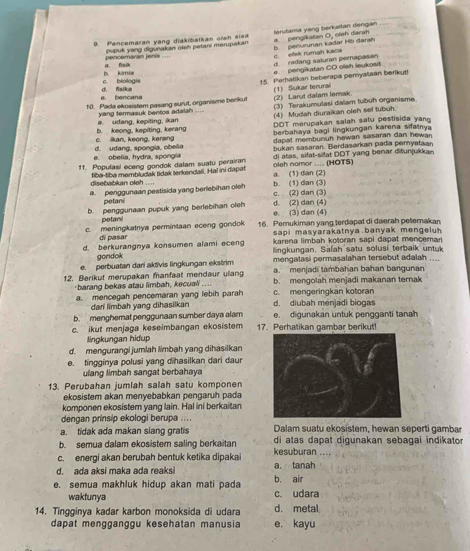 terutama yang berkaitan dengan
9. Pencemaran yang diakibatkan oleh sis a. pengikatan O, oleh darah
c. efek rumah kaca b. penurunan kadar Hb darah
pencemaran jenis .... pupuk yang digunakan oleh petani merupakan
a. fisik
d. radang saluran pernapasan
b. kimia
e. pengikatan CO oleh leukosit
c. biologis
15. Perhatikan beberapa peryataan berikut!
d. fisika
(1) Sukar terurai
e. bencana
10. Pada ekosistem pasang surut, organisme berikut (2) Larut dalam lemak.
yang termasuk bentos adalah .... (3) Terakumulasi dalam tubuh organisme.
a. udang, kepiting, ikan (4) Mudah diuraikan oleh sel tubuh.
b. keong, kepiting, kerang DDT merupakan salah satu pestisida yan
berbahaya bagi lingkungan karena sifatnya
c. ikan, keong, kerang
dapat membunuh hewan sasaran dan hewan
d. udang, spongia, obelia bukan sasaran. Berdasarkan pada pernyataan
e. obelia, hydra, spongia
11. Populasi eceng gondok dalam suatu perairan di atas, sifat-sifat DDT yang benar ditunjukkan
tiba-tiba membludak tidak terkendali. Hal ini dapat oleh nomor .... (HOTS)
disebabkan oleh .... a. (1) dan (2)
a. penggunaan pestisida yang berlebihan oleh c. (2) dan (3) b. (1) dan (3)
petani
b. penggunaan pupuk yang berlebihan oleh e. (3) dan (4) d. (2) dan (4)
petani
c. meningkatnya permintaan eceng gondok 16. Pemukiman yang terdapat di daerah peterakan
di pasar sapi masyarakatnya banyak mengeluh
karena limbah kotoran sapi dapat mencemari
d. berkurangnya konsumen alami eceng lingkungan. Salah satu solusi terbaik untuk
gondok mengatasi permaşalahan tersebut adalah ....
e. perbuatan dari aktivis lingkungan ekstrim a. menjadi tambahan bahan bangunan
12. Berikut merupakan manfaat mendaur ulang b. mengolah menjadi makanan ternak
·barang bekas atau limbah, kecuali ....
a. mencegah pencemaran yang lebih parah c. mengeringkan kotoran
dari limbah yang dihasilkan d. diubah ménjadi biogas
b. menghemat penggunaan sumber daya alam e. digunakan untuk pengganti tanah
c. ikut menjaga keseimbangan ekosistem 17. Perhatikan gambar berikut!
lingkungan hidup
d. mengurangi jumlah limbạh yang dihäsilkan
e. tingginya polusi yang dihasilkan dari daur
ulang limbah sangat berbahaya
13. Perubahan jumlah salah satu komponen
ekosistem akan menyebabkan pengaruh pada
komponen ekosistem yang lain. Hal ini berkaitan
dengan prinsip ekologi berupa ....
a. tidak ada makan siang gratis Dalam suatu ekosistem, hewan seperti gambar
b. semua dalam ekosistem saling berkaitan di atas dapat digunakan sebagai indikator 
c. energi akan berubah bentuk ketika dipakai kesuburan ....
d. ada aksi maka ada reaksi a. tanah
e. semua makhluk hidup akan mati pada b. air
waktunya c. udara
14. Tingginya kadar karbon monoksida di udara d. metal
dapat mengganggu kesehatan manusia e. kayu