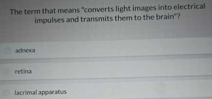 The term that means "converts light images into electrical
impulses and transmits them to the brain"?
adnexa
retina
lacrimal apparatus