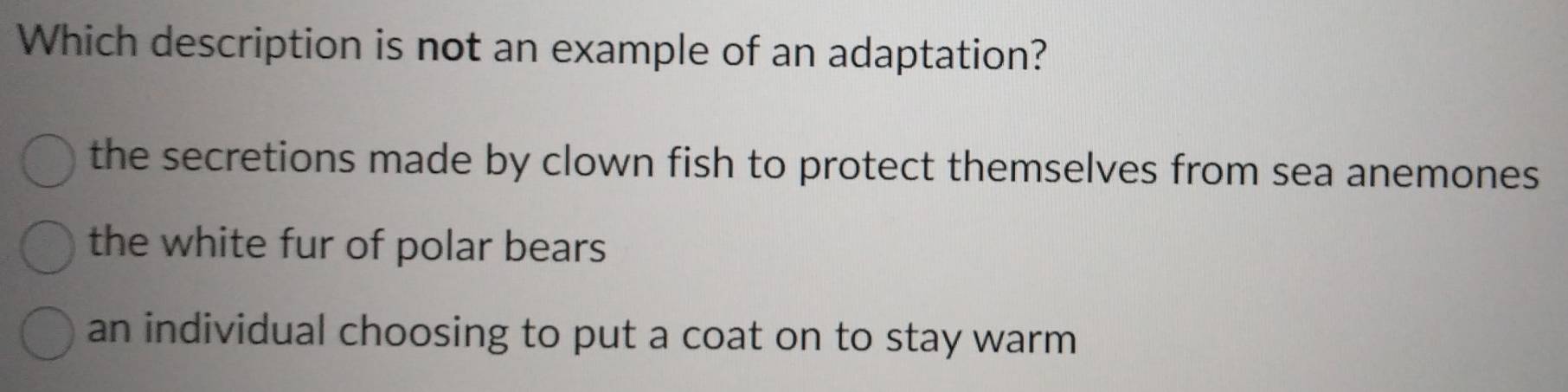 Which description is not an example of an adaptation?
the secretions made by clown fish to protect themselves from sea anemones
the white fur of polar bears
an individual choosing to put a coat on to stay warm