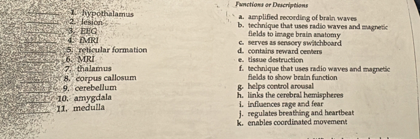 Functions or Descriptions
1. hypothalamus a. amplified recording of brain waves
2. lesion b. technique that uses radio waves and magnetic
3. EEG fields to image brain anatomy
4. fMRI c. serves as sensory switchboard
5. reticular formation d. contains reward centers
6. MRI e. tissue destruction
7. thalamus f. technique that uses radio waves and magnetic
8. corpus callosum fields to show brain function
9. cerebellum g. helps control arousal
10. amygdala h. links the cerebral hemispheres
11. medulla i. influences rage and fear
j. regulates breathing and heartbeat
k. enables coordinated movement