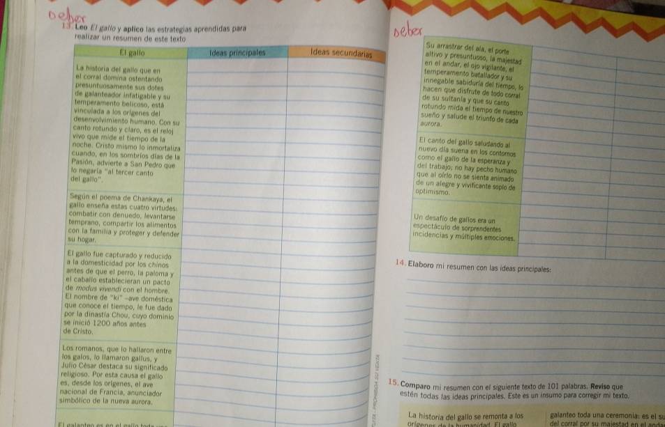 Leo El gallo y aplico las estrategias aprendidas para b 
_ 
_ 
_ 
_ 
_ 
_ 
_ 
_ 
15. Comparo mi resumen con el siguiente texto de 101 palabras. Reviso que 
estén todas las ideas principales. Este es un insumo para corregir mi texto, 
La historia del gallo se remonta a los galanteo toda una ceremonia: es el s