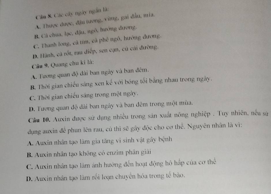 Các cây ngày ngắn là:
A. Thược được, đậu tương, vừng, gai đầu, mia.
B. Cả chua, lạc, đậu, ngô, hướng dương.
C. Thanh long, cả tím, cả phê ngô, hướng dương,
D. Hành, cà rốt, rau diếp, sen cạn, củ cái đường.
Câu 9. Quang chu kì là:
A. Tương quan độ dài ban ngày và ban đêm.
B. Thời gian chiếu sáng xen kế với bóng tối bằng nhau trong ngày.
C. Thời gian chiếu sáng trong một ngày.
D. Tương quan độ dài ban ngày và ban đêm trong một mùa.
Câu 10. Auxin được sử dụng nhiều trong sản xuất nông nghiệp . Tuy nhiên, nếu sử
dụng auxin để phun lên rau, củ thì sẽ gây độc cho cơ thể. Nguyên nhân là vì:
A. Auxin nhân tạo làm gia tăng vi sinh vật gây bệnh
B. Auxin nhân tạo không có enzim phân giải
C. Auxin nhân tạo làm ảnh hướng đến hoạt động hô hấp của cơ thể
D. Auxin nhân tạo làm rối loạn chuyển hóa trong tế bào.