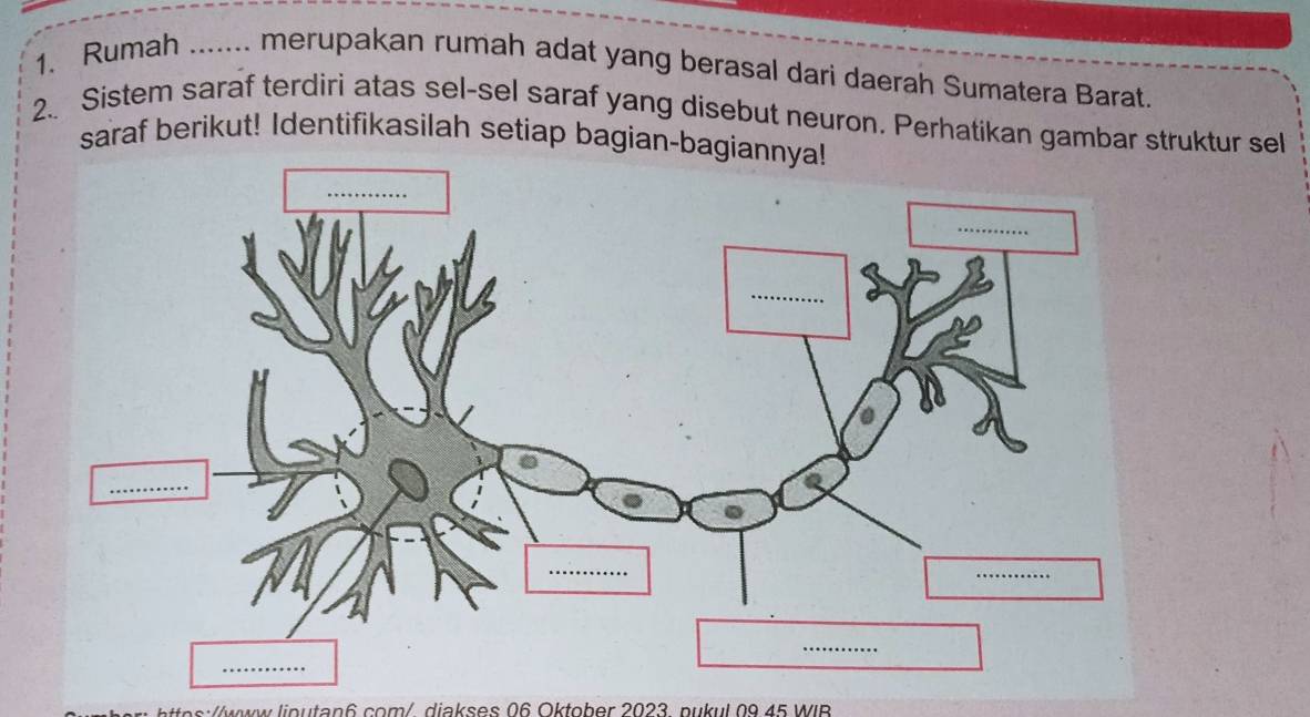 Rumah _. merupakan rumah adat yang berasal dari daerah Sumatera Barat. 
2. Sistem saraf terdiri atas sel-sel saraf yang disebut neuron. Perhatikan gambar struktur sel 
saraf berikut! Identifikasilah setiap bagian-bagi 
ww lioutan6 com/ diakses 06 Oktober 2023 pukul 09 45 WIB