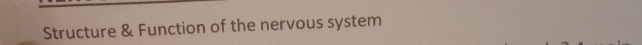 Structure & Function of the nervous system