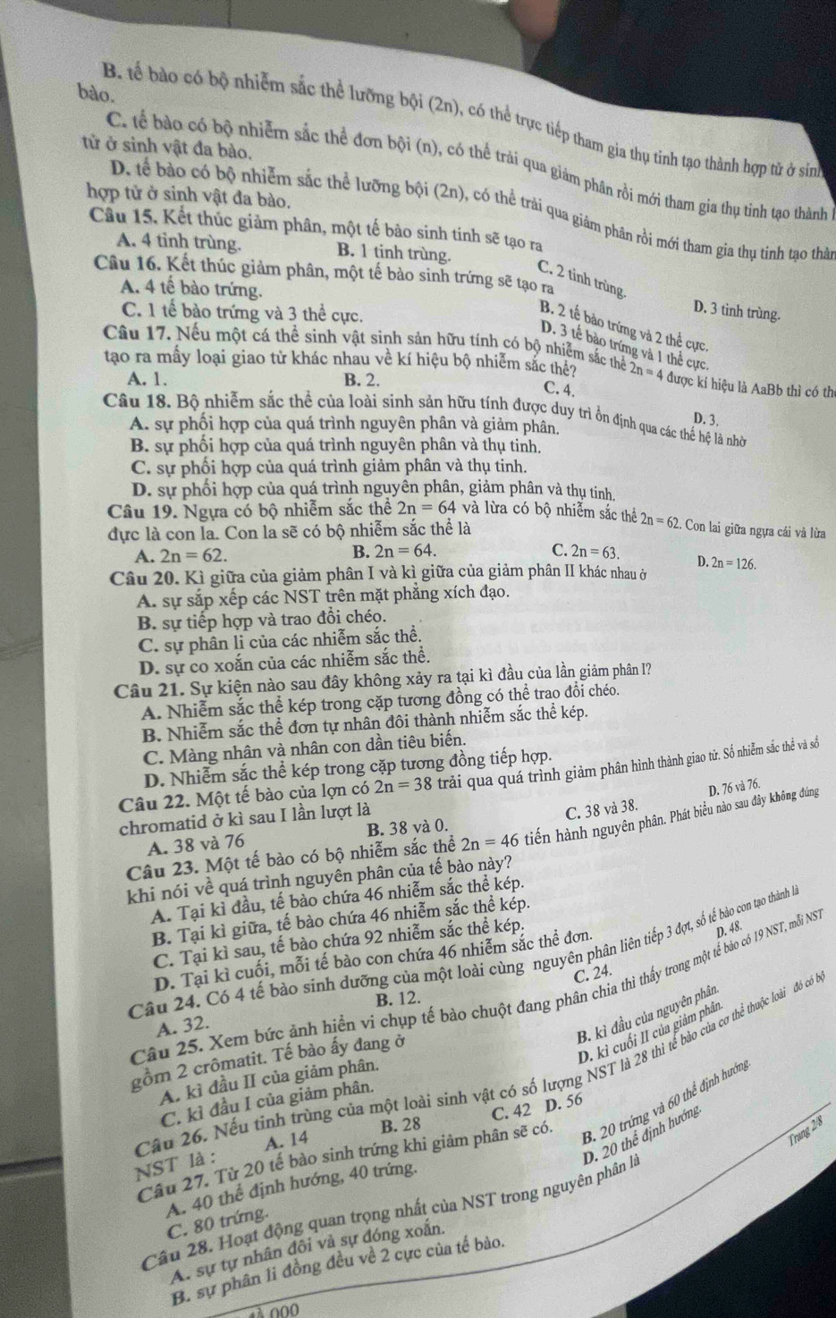 bào.
B. tế bào có bộ nhiễm sắc thể lưỡng bội (2n), có thể trực tiếp tham gia thụ tinh tạo thành hợp tử ở sin
tử ở sinh vật đa bào.
C. tể bào có bộ nhiễm sắc thể đơn bội (n), có thể trải qua giảm phân rồi mới tham gia thụ tinh tạo thành
hợp tử ở sinh vật đa bào.
D. tế bào có bộ nhiễm sắc thể lưỡng bội (2n), có thể trải qua giám phân rồi mới tham gia thụ tinh tạo thà
Câu 15. Kết thúc giảm phân, một tế bào sinh tinh sẽ tạo ra
A. 4 tinh trùng. B. 1 tinh trùng.
Câu 16. Kết thúc giảm phân, một tế bào sinh trứng sẽ tạo ra
C. 2 tỉnh trùng
A. 4 tế bào trứng.
C. 1 tế bào trứng và 3 thể cực.
D. 3 tinh trùng.
B. 2 tế bảo trứng và 2 thể cực
D. 3 tế bào trứng và 1 thể cực
Câu 17. Nếu một cá thể sinh vật sinh sản hữu tính có bộ nhiễm sắc thể 2n=4 được ki hiệu là AaBb thì có th
tạo ra mây loại giao tử khác nhau về kí hiệu bộ nhiễm sắc thêệ?
A. 1. B. 2.
C. 4.
Câu 18. Bộ nhiễm sắc thể của loài sinh sản hữu tính được duy trì ốn định qua các thể hệ là nhờ
D. 3.
A. sự phối hợp của quá trình nguyên phân và giảm phân,
B. sự phối hợp của quá trình nguyên phân và thụ tinh.
C. sự phối hợp của quá trình giảm phân và thụ tinh.
D. sự phối hợp của quá trình nguyên phân, giảm phân và thụ tinh.
Câu 19. Ngựa có bộ nhiễm sắc thể 2n=64 và lừa có bộ nhiễm sắc thể 2n=62. Con lai giữa ngựa cái và lừa
dực là con la. Con la sẽ có bộ nhiễm sắc thể là
A. 2n=62.
B. 2n=64. C. 2n=63.
Câu 20. Kì giữa của giảm phân I và kì giữa của giảm phân II khác nhau ở D. 2n=126.
A. sự sắp xếp các NST trên mặt phẳng xích đạo.
B. sự tiếp hợp và trao đổi chéo.
C. sự phân li của các nhiễm sắc thể.
D. sự co xoắn của các nhiễm sắc thể.
Câu 21. Sự kiện nào sau đây không xảy ra tại kì đầu của lần giảm phân I?
A. Nhiễm sắc thể kép trong cặp tương đồng có thể trao đổi chéo.
B. Nhiễm sắc thể đơn tự nhân đôi thành nhiễm sắc thể kép.
C. Màng nhân và nhân con dần tiêu biến.
D. Nhiễm sắc thể kép trong cặp tương đồng tiếp hợp.
chromatid ở kì sau I lần lượt là trải qua quá trình giảm phân hình thành giao từ. Số nhiễm sắc thể và số
Câu 22. Một tế bào của lợn có 2n=38
C. 38 và 38. D. 76 và 76.
Câu 23. Một tế bào có bộ nhiễm sắc thể 2n=46 tiến hành nguyên phân. Phát biểu nào sau đây không đúng
A. 38 và 76 B. 38 và 0.
khi nói về quá trình nguyên phân của tế bào này?
A. Tại kì đầu, tế bào chứa 46 nhiễm sắc thể kép.
B. Tại kì giữa, tế bào chứa 46 nhiễm sắc thể kép.
C. Tại kì sau, tế bào chứa 92 nhiễm sắc thể kép.
Câu 24. Có 4 tế bào sinh dưỡng của một loài cùng nguyên phân liên tiếp 3 đợt, số tế bảo con tạo thành l
D. Tại kì cuối, mỗi tế bào con chứa 46 nhiễm sắc thể đơn.
D. 48.
C. 24.
Câu 25. Xem bức ảnh hiển ví chụp tế bào chuột đang phân chia thì thấy trong một tế bào có 19 NST mỗi NST.
B. 12.
B. kì đầu của nguyên phân
A. 32.
D. kỉ cuối II của giảm phât
gồm 2 crômatit. Tế bào ấy đang ở
A. kì đầu II của giảm phân.
C. kì đầu I của giảm phân.
B. 20 trứng và 60 thể định hướn
C. 42 D. 56
B. 28
Câu 26. Nếu tinh trùng của một loài sinh vật có số lượng NST là 28 thì tể bào của cơ thể thuộc loài đó có NST là :
A. 14
Trạng 2/8
Câu 27. Từ 20 tế bào sinh trứng khi giâm phân sẽ có.
Câu 28. Hoạt động quan trọng nhất của NST trong nguyên phân là D. 20 thể định hướng
A. 40 thể định hướng, 40 trứng.
C. 80 trứng
A. sự tự nhân đôi và sự đóng xoắn.
B. sự phân li đồng đều về 2 cực của tế bào.