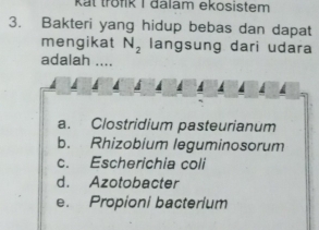 Kat trofik I dalam ekosistem
3. Bakteri yang hidup bebas dan dapat
mengikat N_2 langsung dari udara
adalah ....
a. Clostridium pasteurianum
b. Rhizobium leguminosorum
c. Escherichia coli
d. Azotobacter
e. Propioni bacterium