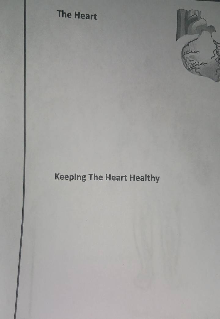 The Heart
Keeping The Heart Healthy