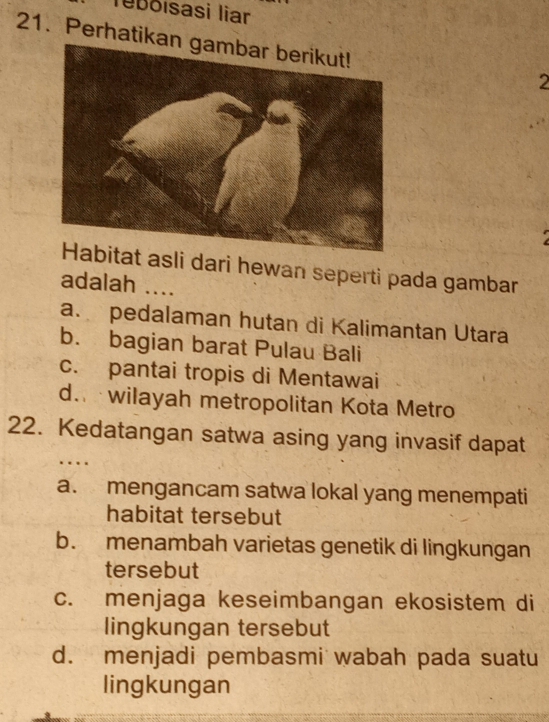 Teßoisasi liar
21. Perhatika
2
itat asli dari hewan seperti pada gambar
adalah ....
a. pedalaman hutan di Kalimantan Utara
b. bagian barat Pulau Bali
c. pantai tropis di Mentawai
d. wilayah metropolitan Kota Metro
22. Kedatangan satwa asing yang invasif dapat
. .
a. mengancam satwa lokal yang menempati
habitat tersebut
b. menambah varietas genetik di lingkungan
tersebut
c. menjaga keseimbangan ekosistem di
lingkungan tersebut
d. menjadi pembasmi wabah pada suatu
lingkungan