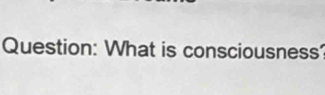 What is consciousness'