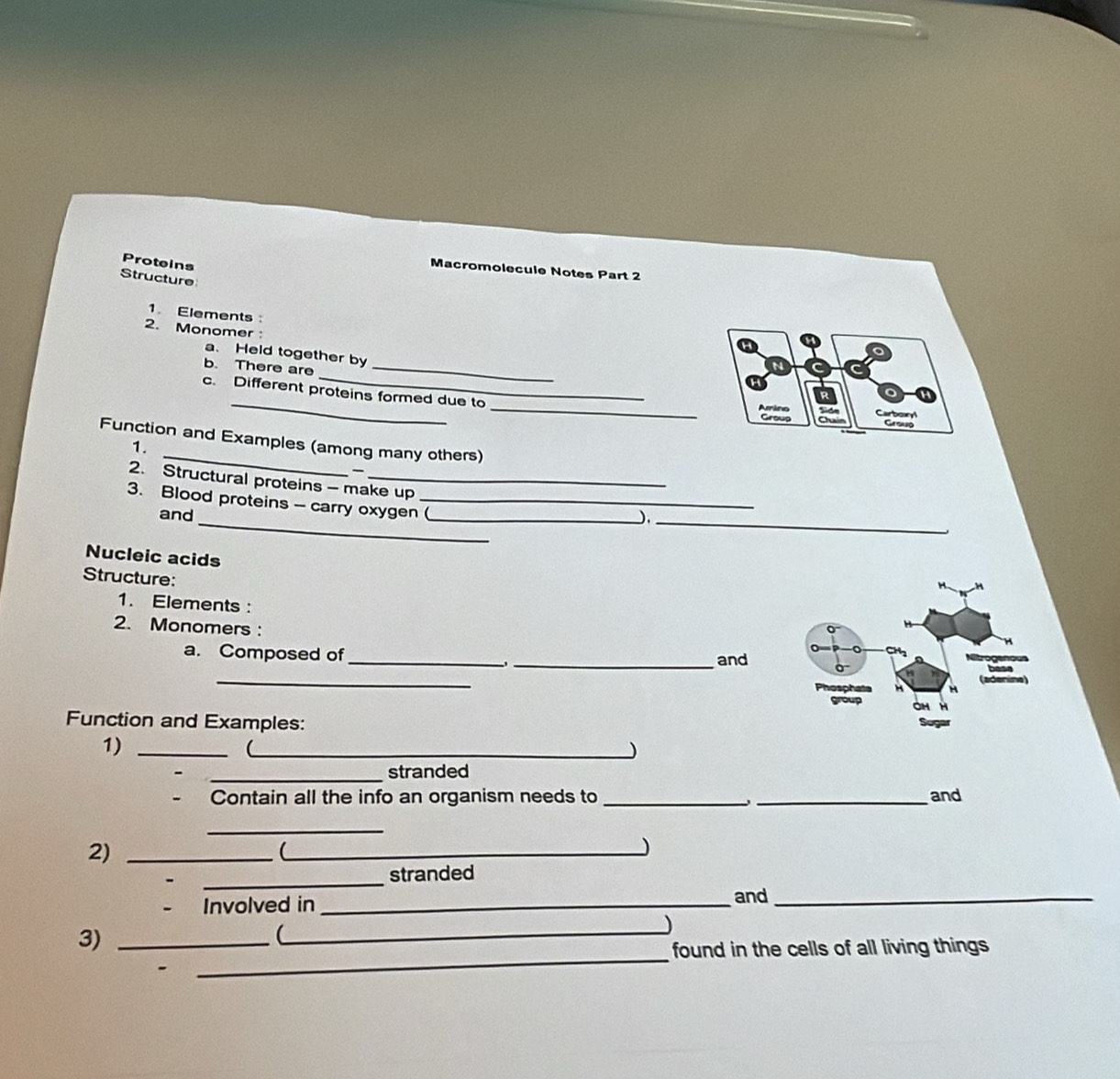 Proteins 
Macromolecule Notes Part 2 
Structure 
1. Elements 
2. Monomer 
a、 Held together by 
_ 
b. There are_ 
_ 
c. Different proteins formed due to 
_Amino Carboi Grouo 
Group 
_ 
Function and Examples (among many others) 
1. 
__ 
2. Structural proteins - make up ) 
3. Blood proteins - carry oxygen (_ 
and 
Nucleic acids 
Structure: 
1. Elements : 
2. Monomers : 
a. Composed of _. _and 
_ 
Function and Examples: 
1)_ 
_ 
) 
_stranded 
- Contain all the info an organism needs to __and 
_ 
2)_ 
_) 
_ 
stranded 
Involved in_ 
and_ 
3)_ 
_ 
) 
_ 
found in the cells of all living things