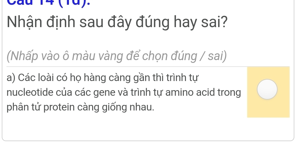 Cầu 14 (1ª). 
Nhận định sau đây đúng hay sai? 
(Nhấp vào ô màu vàng để chọn đúng / sai) 
a) Các loài có họ hàng càng gần thì trình tự 
nucleotide của các gene và trình tự amino acid trong 
phân tử protein càng giống nhau.