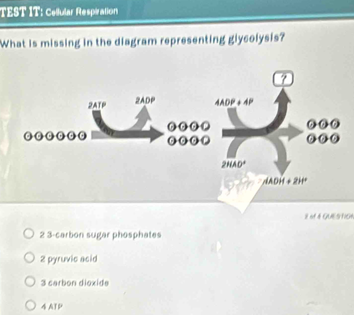 TEST IT: Cellular Respiration
What is missing in the diagram representing glycolysis?
2 61 4  GUES HON
2 3-carbon sugar phosphates
2 pyruvic acid
3 carbon dioxide
4 ATP