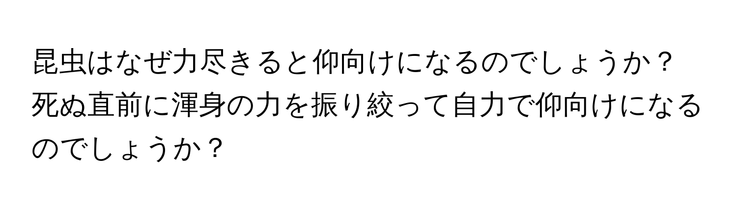 昆虫はなぜ力尽きると仰向けになるのでしょうか？死ぬ直前に渾身の力を振り絞って自力で仰向けになるのでしょうか？