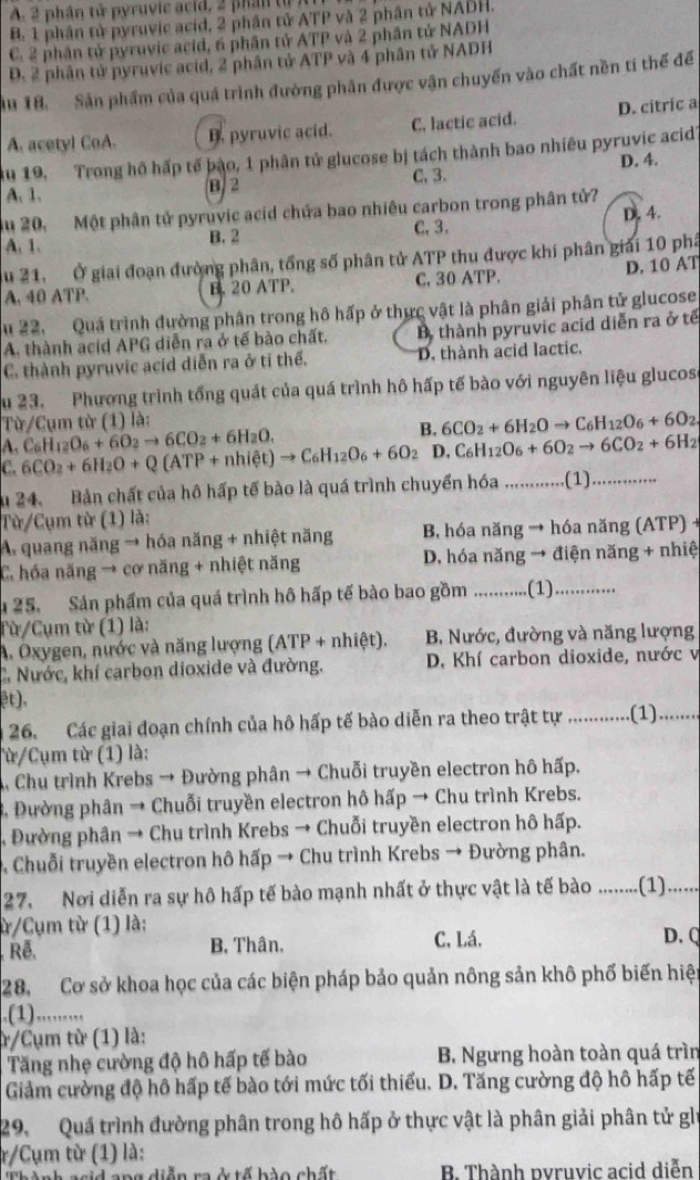 A. 2 phân tử pyruvic acid, 2 phân tự
B. 1 phân tử pyruvic acid, 2 phân tử ATP và 2 phân tử NADH.
C. 2 phần tử pyruvic acid, 6 phân tử ATP và 2 phần tử NADH
D. 2 phân tử pyruvic acid, 2 phân tử ATP và 4 phân tử NADH
ău 18.  Sản phẩm của quá trình đường phân được vận chuyến vào chất nền tí thể để
A. acetyl CoA. B. pyruvic acid. C. lactic acid. D. citric a
du 19, Trong hô hấp tế bào, 1 phân tử glucose bị tách thành bao nhiêu pyruvic acid?
D. 4.
A. 1. B. 2 C, 3.
u 20, Một phân tử pyruvic acid chứa bao nhiêu carbon trong phân tử?
A. 1. B. 2 C. 3. D. 4.
ău 21. Ở giai đoạn đường phân, tổng số phân tử ATP thu được khí phân giải 10 phá
A. 40 ATP. B. 20 ATP. C. 30 ATP. D. 10 AT
u 22. Quá trình đường phân trong hô hấp ở thực vật là phân giải phân tử glucose
A. thành acid APG diễn ra ở tế bào chất, B thành pyruvic acid diễn ra ở tế
C. thành pyruvic acid diễn ra ở tỉ thể. D. thành acid lactic.
Su 23. Phương trình tổng quát của quá trình hô hấp tế bào với nguyên liệu glucos
Từ/Cụm từ (1) là:
A. C_6H_12O_6+6O_2to 6CO_2+6H_2O. B. 6CO_2+6H_2Oto C_6H_12O_6+6O_2.
C. 6CO_2+6H_2O+Q(ATP+nhiet)to C_6H_12O_6+6O_2 D. C_6H_12O_6+6O_2to 6CO_2+6H_2
u 24. Bản chất của hô hấp tế bảo là quá trình chuyển hóa_ (1)_
Từ/Cụm từ (1) là:
A. quang năng → hóa năng + nhiệt năng B hóa năng → hóa năng (ATP)
C. hóa năng → cơ năng + nhiệt năng D. hóa năng → điện năng + nhiệ
25. Sản phẩm của quá trình hô hấp tế bào bao gồm_ .(1)_
Từ/Cụm từ (1) là:
A. Oxygen, nước và năng lượng (ATP+nhiet). B. Nước, đường và năng lượng
C. Nước, khí carbon dioxide và đường. D. Khí carbon dioxide, nước v
ệt). _..(1)_
26. Các giai đoạn chính của hô hấp tế bào diễn ra theo trật tự         
lừ/Cụm từ (1) là:
A. Chu trình Krebs → Đường phân → Chuỗi truyền electron hô hấp.
* Đường phân → Chuỗi truyền electron hô hấp → Chu trình Krebs.
, Đường phân → Chu trình Krebs → Chuỗi truyền electron hô hấp.
Chuỗi truyền electron hô hấp → Chu trình Krebs → Đường phân.
27. Nơi diễn ra sự hô hấp tế bào mạnh nhất ở thực vật là tế bào .........(1).......
ừ/Cụm từ (1) là: D. Q
Rê. B, Thân. C, Lá,
28. Cơ sở khoa học của các biện pháp bảo quản nông sản khô phố biến hiệt
.(1).........
r/Cụm từ (1) là:
Tăng nhẹ cường độ hô hấp tế bào B. Ngưng hoàn toàn quá trìn
Giảm cường độ hô hấp tế bào tới mức tối thiểu. D. Tăng cường độ hô hấp tế
29. Quá trình đường phân trong hô hấp ở thực vật là phân giải phân tử gii
r/Cụm từ (1) là:
Thành asid ang diễn ra ở tế bào chất B. Thành pvruvic acid diễn