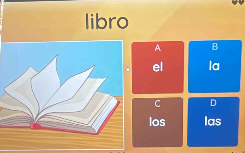 libro 
A 
B 
el 
la 
C 
D 
los las