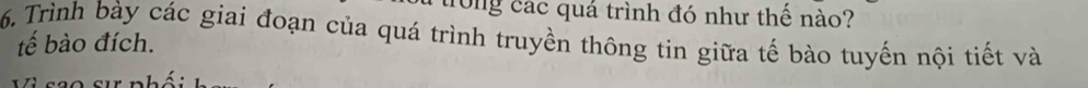 rong các quá trình đó như thế nào? 
6. Trình bày các giai đoạn của quá trình truyền thông tin giữa tế bào tuyến nội tiết và 
tế bào đích.