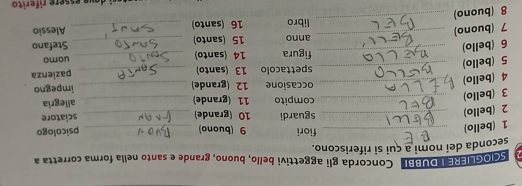 SCIOGLIERE I DUBBI Concorda gli aggettivi bello, buono, grande e santo nella forma corretta a 
seconda dei nomi a çui si riferiscono. 
1 (bello)_ 
fiori 9 (buono) _psicologo 
2 (bello)_ 
sguardi 10 (grande)_ 
sciatore 
3 (bello)_ 
compito 11 (grande) _allegria 
occasione 12 (grande) _impegno 
4 (bello)_ 
_ 
5 (bello)_ 
spettacolo 13 (santo)_ 
pazienza 
figura 14 (santo) _uomo 
_ 
6 (bello) _Stefano 
anno 15 (santo)
7 (buono) _Alessio 
libro 16 (santo) 
8 (buono) 
_ 
ci de ve essere riferito