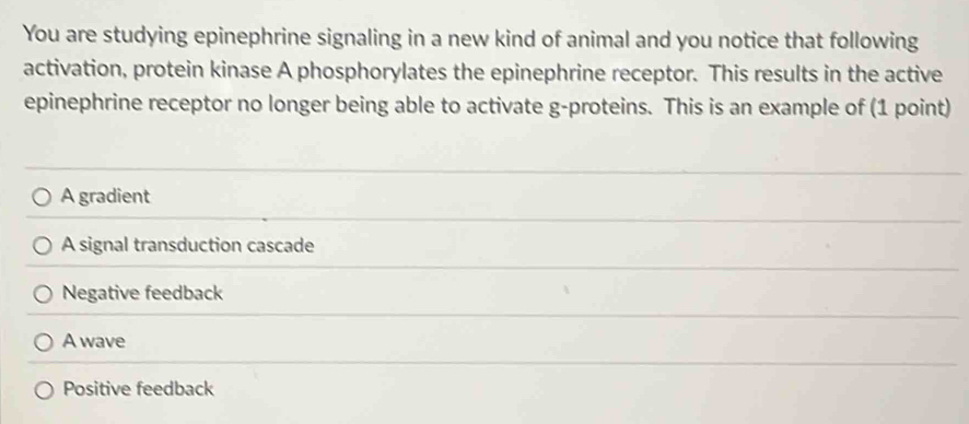 You are studying epinephrine signaling in a new kind of animal and you notice that following
activation, protein kinase A phosphorylates the epinephrine receptor. This results in the active
epinephrine receptor no longer being able to activate g-proteins. This is an example of (1 point)
A gradient
A signal transduction cascade
Negative feedback
A wave
Positive feedback