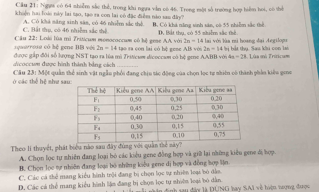 Ngựa có 64 nhiễm sắc thể, trong khi ngựa vằn có 46. Trong một số trường hợp hiểm hoi, có thể
khiển hai loài này lai tạo, tạo ra con lai có đặc điểm nào sau đây?
A. Có khả năng sinh sản, có 46 nhiễm sắc thể. B. Có khả năng sinh sản, có 55 nhiễm sắc thể.
C. Bất thụ, có 46 nhiễm sắc thể. D. Bất thụ, có 55 nhiễm sắc thể.
Câu 22: Loài lúa mì Triticum monococcum có hệ gene AA với 2n=14 lai với lúa mì hoang dại Aegilops
squarrosa có hệ gene BB với 2n=14 tạo ra con lai có hệ gene AB với 2n=14 bị bất thụ. Sau khi con lai
được gấp đôi số lượng NST tạo ra lúa mì Triticum dicoccum có hệ gene AABB với 4n=28. Lúa mì Triticum
dicoccum được hình thành bằng cách
Câu 23: Một quần thể sinh vật ngẫu phối đang chịu tác động của chọn lọc tự nhiên có thành phần kiểu gene
ở các thế hệ như sau:
Theo lí thuyết, phát biểu nào sau đây đúng với quần thể này?
A. Chọn lọc tự nhiên đang loại bỏ các kiểu gene đồng hợp và giữ lại những kiều gene dị hợp.
B. Chọn lọc tự nhiên đang loại bỏ những kiểu gene dị hợp và đồng hợp lặn.
C. Các cá thể mang kiểu hình trội đang bị chọn lọc tự nhiên loại bỏ dần.
D. Các cá thể mang kiểu hình lặn đang bị chọn lọc tự nhiên loại bỏ dần.
nh ân định sau đây là ĐÚNG hay SAI về hiện tượng được