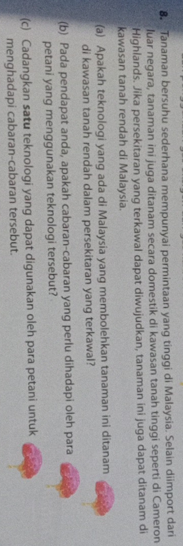 Tanaman bersuhu sederhana mempunyai permintaan yang tinggi di Malaysia. Selain diimport dari 
luar negara, tanaman ini juga ditanam secara domestik di kawasan tanah tinggi seperti di Cameron 
Highlands. Jika persekitaran yang terkawal dapat diwujudkan, tanaman ini juga dapat ditanam di 
kawasan tanah rendah di Malaysia. 
(a) Apakah teknologi yang ada di Malaysia yang membolehkan tanaman ini ditanam 
di kawasan tanah rendah dalam persekitaran yang terkawal? 
(b) Pada pendapat anda, apakah cabaran-cabaran yang perlu dihadapi oleh para 
petani yang menggunakan teknologi tersebut? 
(c) Cadangkan satu teknologi yang dapat digunakan oleh para petani untuk 
menghadapi cabaran-cabaran tersebut.