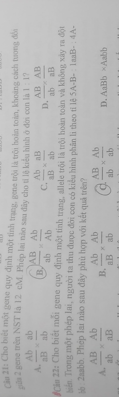 Cho biết một gene quy định một tính trạng, gene trội là trội hoàn toàn, khoảng cách tương đối
giữa 2 gene trên NST là 12 cM. Phép lai nào sau đây cho tỉ lệ kiểu hình ở đời con là 1:1 ?
A.  Ab/aB *  ab/ab 
B  AB/ab *  Ab/Ab 
C.  Ab/aB *  aB/ab   AB/ab *  AB/aB 
D.
#Câu 22: Cho biết mỗi gene quy định một tính trạng, allele trội là trội hoàn toàn và không xây ra đột
biển. Trong một phép lai, người ta thu được đời con có kiểu hình phân li theo tỉ lệ 5A-B-:1aaB-:4A-
b : aabb. Phép lai nào sau đây phù hợp với kết quả trên?
A.  AB/ab *  Ab/aB   Ab/aB *  Ab/ab   AB/ab *  Ab/ab 
B.
Q.
D. AaBb* Aabb