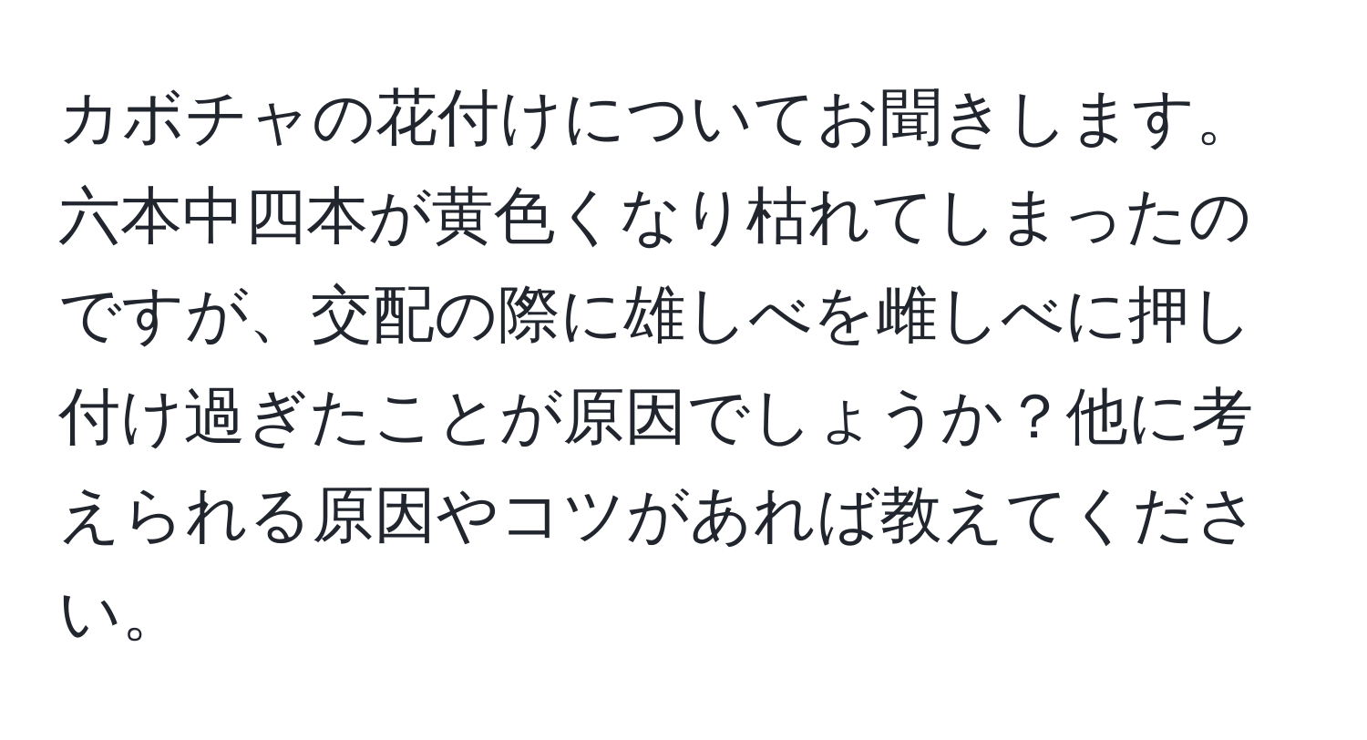 カボチャの花付けについてお聞きします。六本中四本が黄色くなり枯れてしまったのですが、交配の際に雄しべを雌しべに押し付け過ぎたことが原因でしょうか？他に考えられる原因やコツがあれば教えてください。