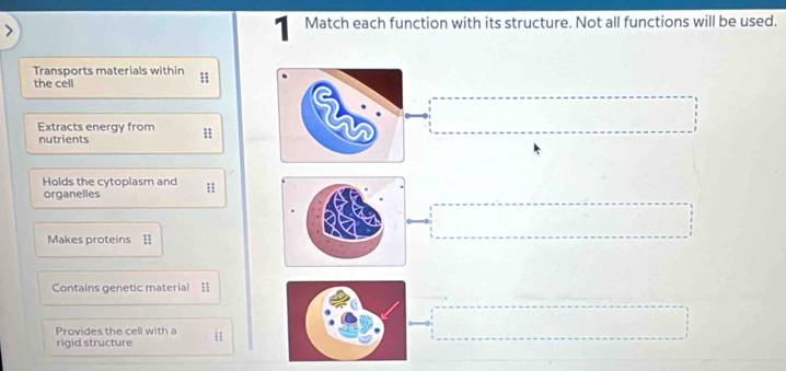 Match each function with its structure. Not all functions will be used. 
Transports materials within 
the cell 
Extracts energy from 11
nutrients 
Holds the cytoplasm and 1
organelles 
Makes proteins = 
Contains genetic material = 
Provides the cell with a 
rigid structure 11