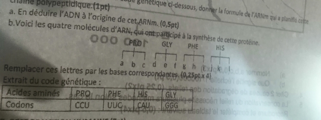 haine polypeptidique.(1pt) 
due génétique ci-dessous, donner la formule de l'ARNm qui a planifié cette 
a. En déduire l'ADN à l'origine de cet ARNm. (0,5pt) 
b.Voici les quatre molécules d'ARN, qui ont participé à la synthèse de cettprotéine. 
Remplacer ces lettres par les bases correspondantes. (0 .25ot*. 
Extrait du code génétiqu