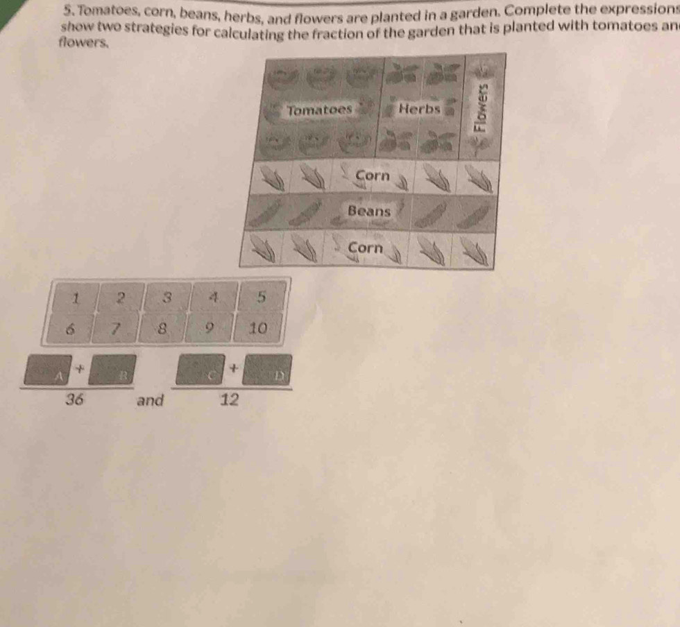 Tomatoes, corn, beans, herbs, and flowers are planted in a garden. Complete the expressions 
shew two strategies for calculating the fraction of the garden that is planted with tomatoes an 
flowers. 
Tomatoes Herbs 
Corn 
Beans 
Corn 
+ 
A + B D
36 and 12