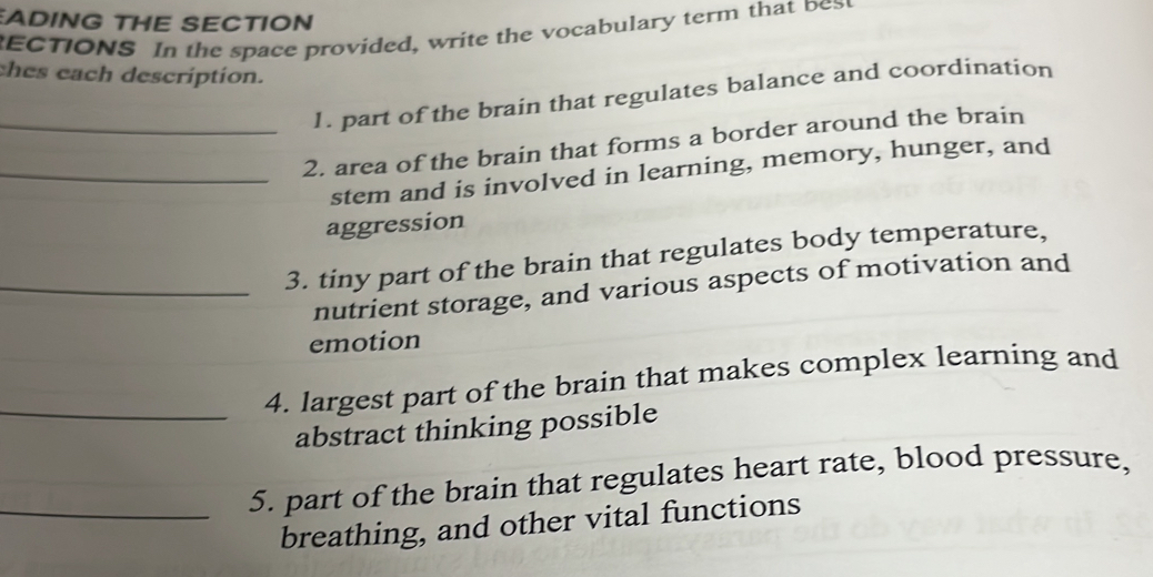 ADING THE SECTION 
RECTIONS In the space provided, write the vocabulary term that bes 
ches each description. 
1. part of the brain that regulates balance and coordination 
_2. area of the brain that forms a border around the brain 
_stem and is involved in learning, memory, hunger, and 
aggression 
_3. tiny part of the brain that regulates body temperature, 
nutrient storage, and various aspects of motivation and 
emotion 
_4. largest part of the brain that makes complex learning and 
abstract thinking possible 
_5. part of the brain that regulates heart rate, blood pressure, 
breathing, and other vital functions