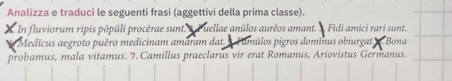 Analizza e traduci le seguenti frasi (aggettivi della prima classe). 
. In fluviorum ripis pōpŭli procērae sunt. 3. Puellae anŭlos aurěos amant. 3 Fidi amici rari sunt. 
Medicus aegroto puěro medicinam amaram dat. . Pamŭlos pigros domïnus obiurgat. . Bona 
probamus, mala vitamus. 7. Camillus praeclarus vir erat Romanus, Ariovistus Germanus.